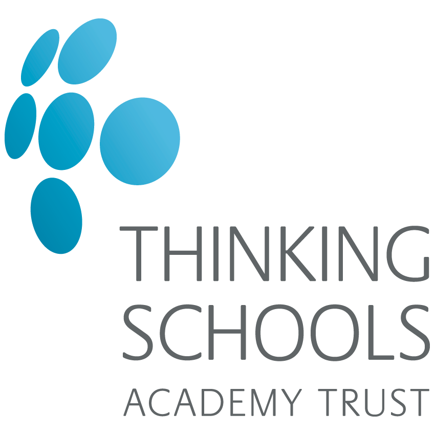Thinking Schools Logo